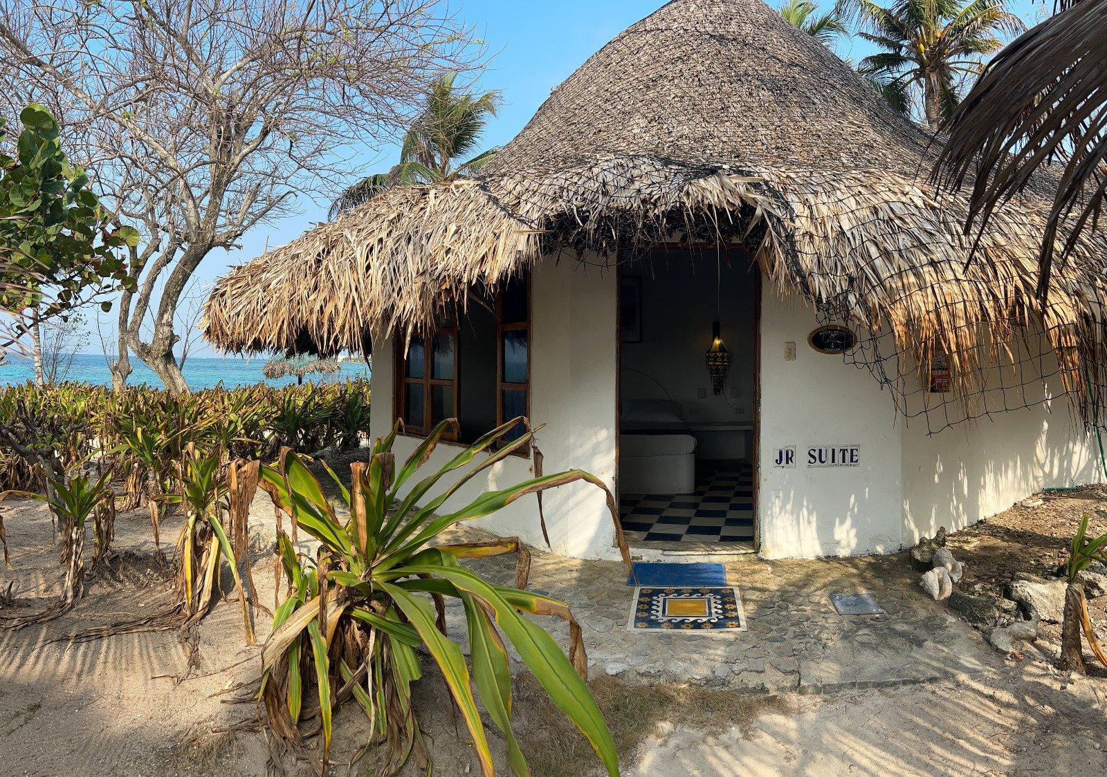 WhatsApp Image 2025-12-23 at 11.21.04 AM