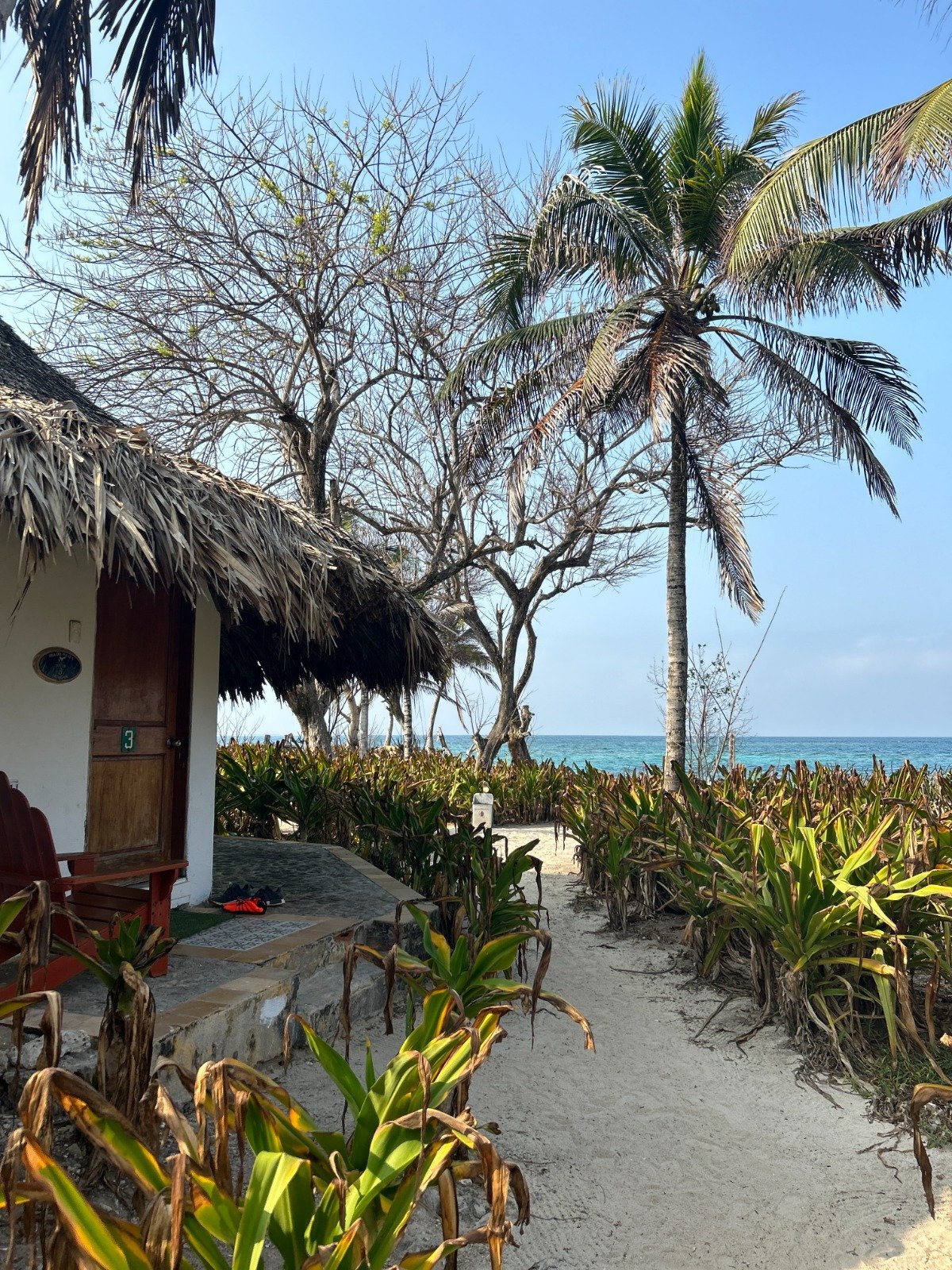 WhatsApp Image 2025-12-23 at 11.21.05 AM (1)